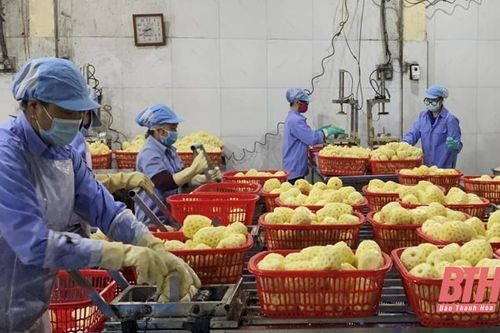 Huyện Nông Cống với các giải pháp phát triển kinh tế - xã hội
