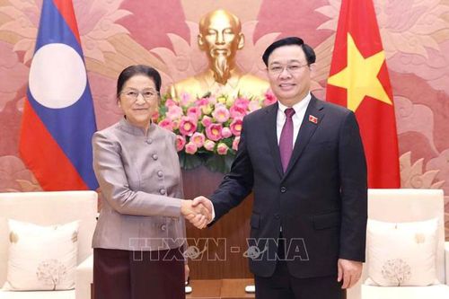 Thúc đẩy quan hệ hợp tác giữa Quốc hội hai nước Việt Nam-Lào
