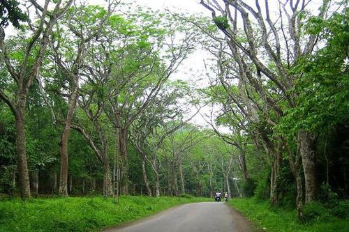 Sôi nổi 'Tuần lễ Cúc Phương đại ngàn' và 'Ngày hội văn hóa, thể thao các dân tộc huyện Nho Quan' tỉnh Ninh Bình năm 2022