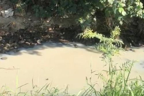 Nước kênh ở Quảng Ngãi trắng như sữa, hôi nồng nặc