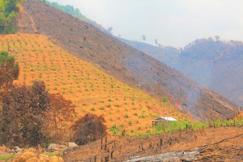 Rừng bị phá tràn lan ở Đắk Lắk, lãnh đạo huyện nhận khuyết điểm