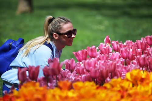 Tưng bừng lễ hội hoa tulip Istanbul 2022 tại Thổ Nhĩ Kỳ