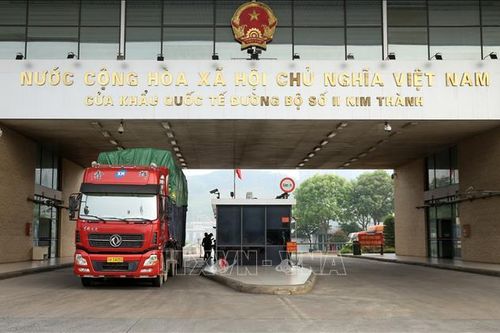 Cửa khẩu Lào Cai từng bước phục hồi hoạt động xuất nhập khẩu