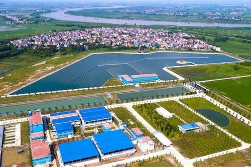 Thị trường cung cấp nước sạch còn 'tranh tối, tranh sáng'