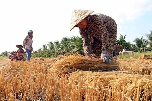 Giảm thiểu tác động tiêu cực của biến đổi khí hậu tới phụ nữ, trẻ em đồng bằng sông Cửu Long
