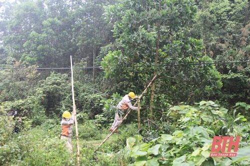 Bảo đảm hành lang an toàn lưới điện - trách nhiệm không chỉ của riêng ngành điện