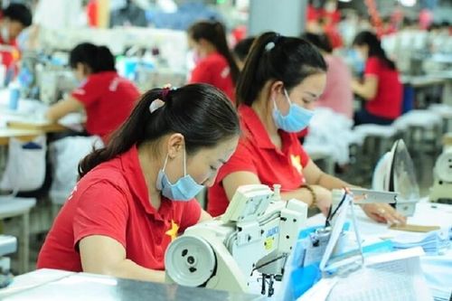 Người làm công ăn lương 'sắp' đóng thuế TNCN phù hợp thu nhập?
