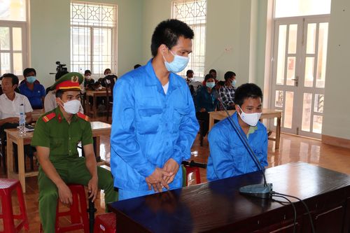 Quảng Ngãi: Bắn chết 5 cá thể voọc, 2 thanh niên lãnh 12 năm tù