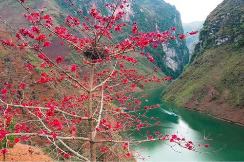 Hẻm Tu Sản, điểm đến không thể bỏ qua