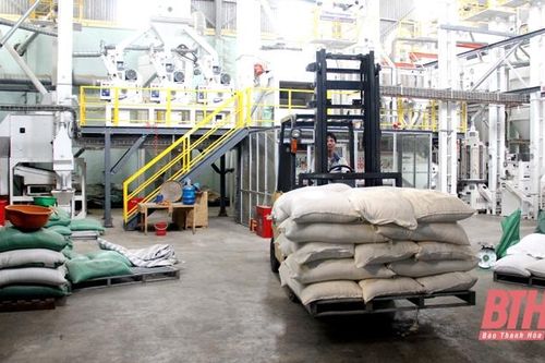 Phát triển bền vững các sản phẩm nông nghiệp chủ lực