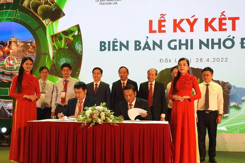 Đắk Lắk tổ chức Hội nghị xúc tiến đầu tư lĩnh vực nông nghiệp năm 2022