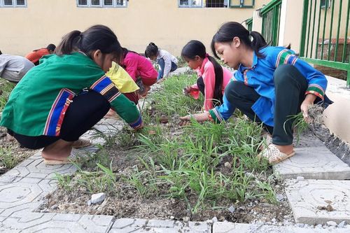 Lào Cai lên kế hoạch bảo vệ môi trường ngành giáo dục