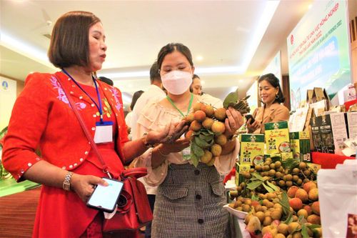Đắk Lắk 'trải thảm đỏ', xem nhà đầu tư là công dân của tỉnh