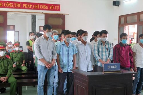 Tuyên phạt tù 34 bị cáo liên quan đến phá rừng quy mô lớn