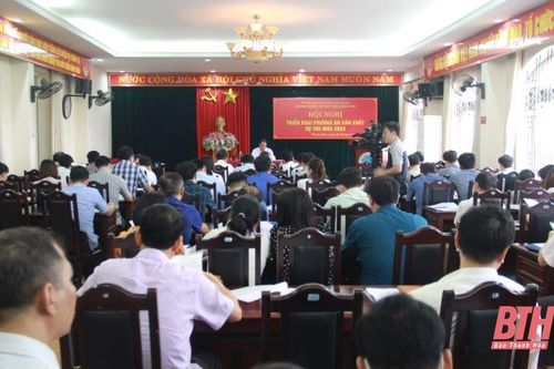 Triển khai phương án sản xuất vụ thu mùa 2022