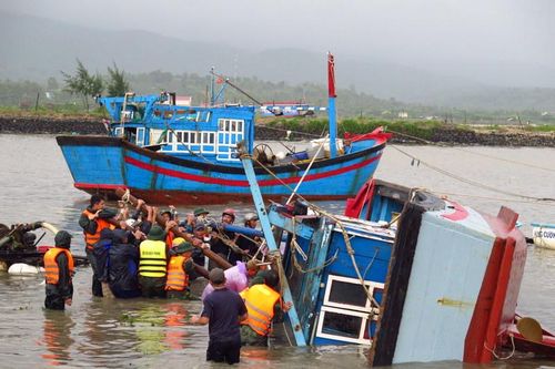 Tiếng chuông báo động của tự nhiên