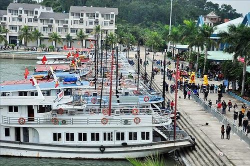 Thiếu nhân viên trầm trọng, chủ tàu, nhà hàng Hạ Long phải 'mượn' người của nhau