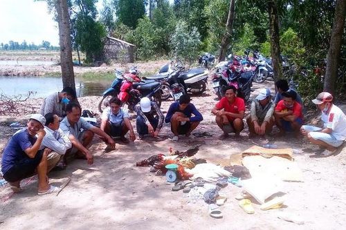 Công an huyện Phước Long, Bạc Liêu triệt xóa điểm đá gà ăn tiền
