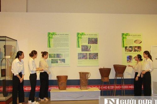 Gợi nhớ cội nguồn từ 'Hồn tre Tây Nguyên'