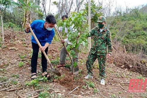 Nâng độ che phủ rừng ở Mường Lát