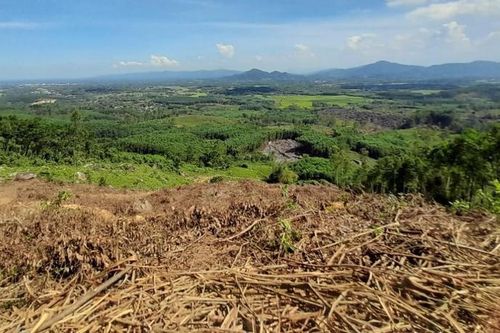 2.850 ha rừng tự nhiên 'biến mất', Sở NN&PTNT Quảng Nam giải trình ra sao?