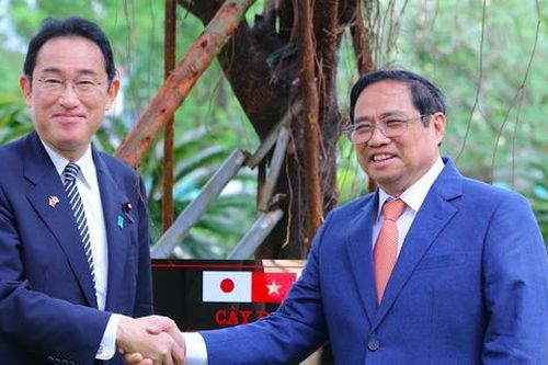 Thủ tướng Phạm Minh Chính và Thủ tướng Kishida Fumio cùng trồng cây lưu niệm