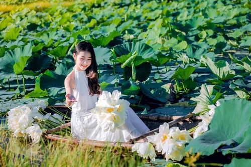 Long lanh sen miền Tây sông nước