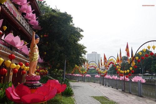 Sắc màu Phật đản về sớm trên TP.HCM