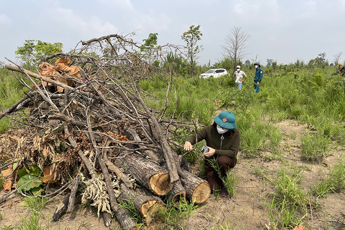 Nan giải bài toán giữ rừng Tây Nguyên