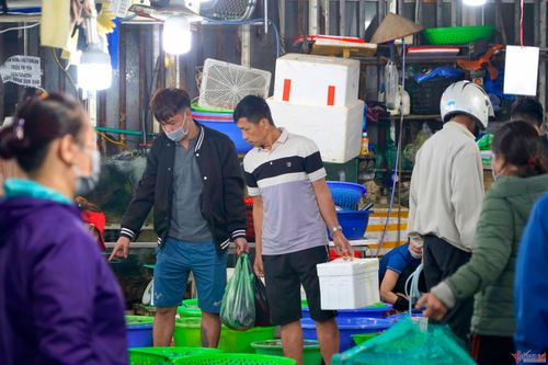 Khách Hà Nội đổ ra chợ gom hải sản, dân Hạ Long đóng hàng mỏi tay