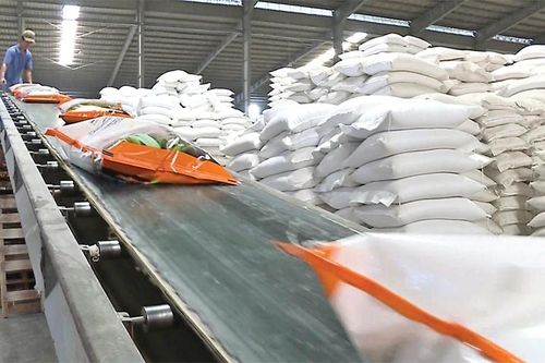 Gạo Việt tấp nập đơn hàng