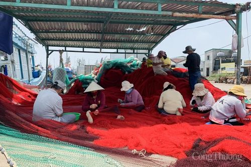Quảng Ngãi phấn đấu 75% cơ sở sản xuất, kinh doanh thực phẩm nông thủy sản an toàn