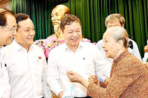 Cử tri TPHCM kiến nghị sớm sửa Luật Đất đai