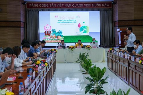 Lần đầu tiên tổ chức Lễ hội Sen Đồng Tháp qui mô cấp tỉnh
