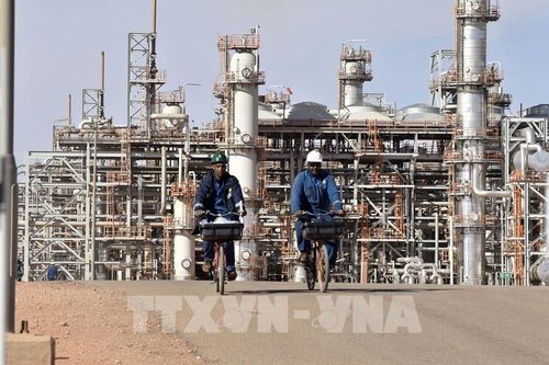 Algeria sẽ tăng sản lượng dầu mỏ thêm 11.000 thùng/ngày từ tháng 6/2022