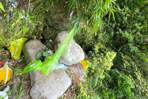 Hình ảnh nơi trú ẩn của người phụ nữ trong 7 ngày rơi xuống vực ở Yên Tử