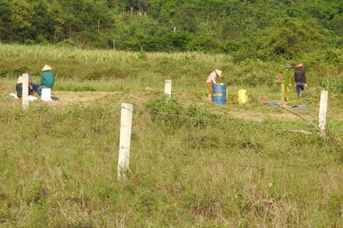 Đà Nẵng: Chi chít cọc rào chia lô đồng ruộng