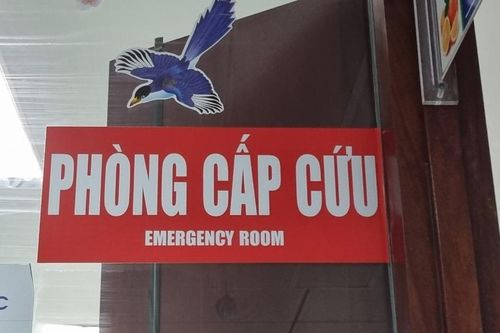 Sự thật về tin đồn 'dịch nôn' khiến nhiều trẻ nhập viện