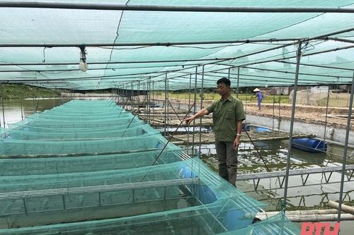Lan tỏa phong trào thi đua 'Tuổi cao - gương sáng' ở TP Thanh Hóa