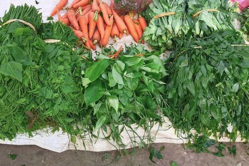 Mê mẩn rau rừng miền non nước Cao Bằng