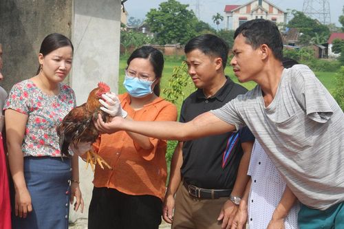 Hậu quả đau lòng từ mất an toàn lao động