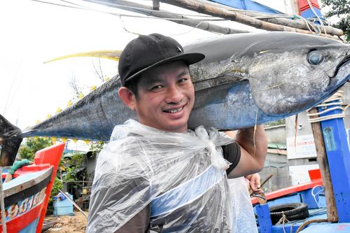 Bình Định sắp tổ chức lễ hội cá ngừ đại dương