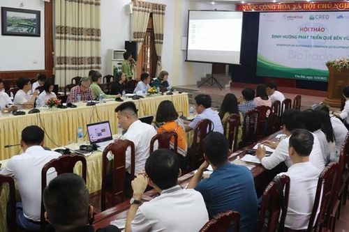 Yên Bái định hướng phát triển cây quế bền vững