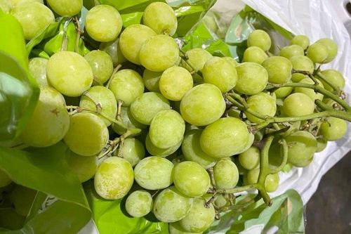 Nho xanh Úc 'giòn như cà pháo', hạn chế người mua 3kg/đơn hàng