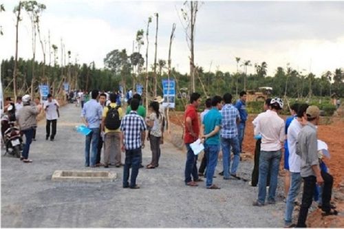 'Siết' điều kiện phân lô tách thửa: Chỉ 'hạ sốt' đất ở ngọn, chưa giải quyết được gốc