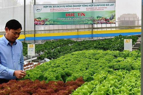 HTX miền Trung, Tây Nguyên bứt phá từ chuyển đổi số