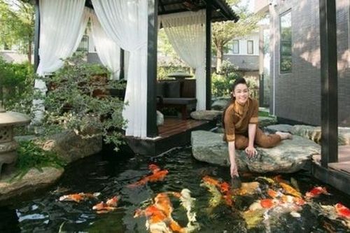 Đâu phải chỉ có mỗi doanh nhân Thắng Ngô sở hữu đàn cá Koi tiền tỷ, nhiều sao Việt gây choáng váng vì đầu tư lớn cho đàn cá Koi trong biệt thự