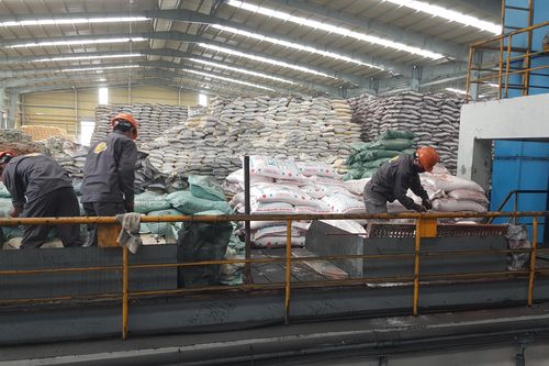 Giá phân bón neo cao, nông dân điêu đứng