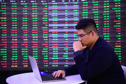 Nhà đầu tư F0 sốc vì thị trường lao dốc