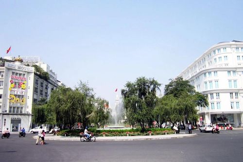 Nghiên cứu tái lập vòng xoay trăm tuổi ở TP.HCM